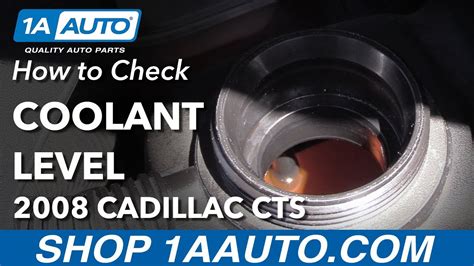 cadillac cts coolant|2016 Cadillac CTS Coolant Type 